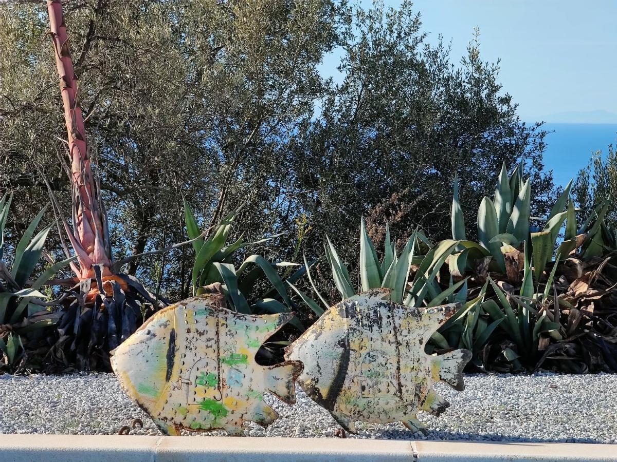 Campo Agave B&B Sayalonga Esterno foto