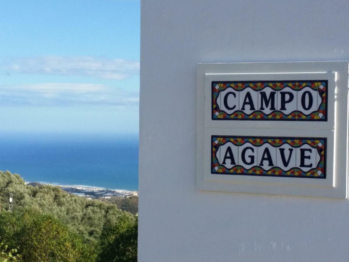 Campo Agave B&B Sayalonga Esterno foto